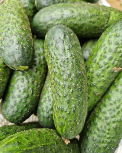 Zdjęcie WhatsApp 2025-07-31 o 16.34.00_b6df4828