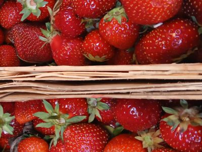 Zdjęcie WhatsApp 2025-07-31 o 16.34.01_249cb7ab